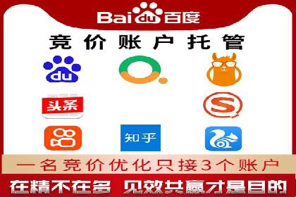 解析某某SEM服务公司的广告投放策略与效果评估