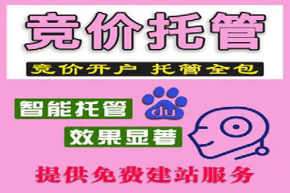 案例对比：不同竞价推广策略的优劣分析